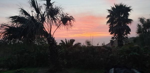 Quinta da Mia & Marisa